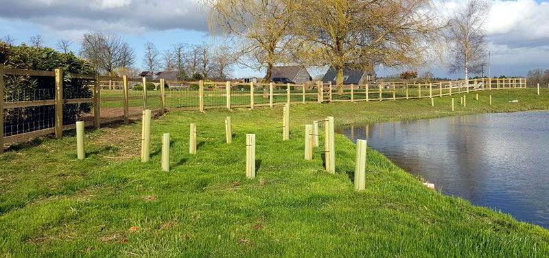 Post and rail fencing by lake